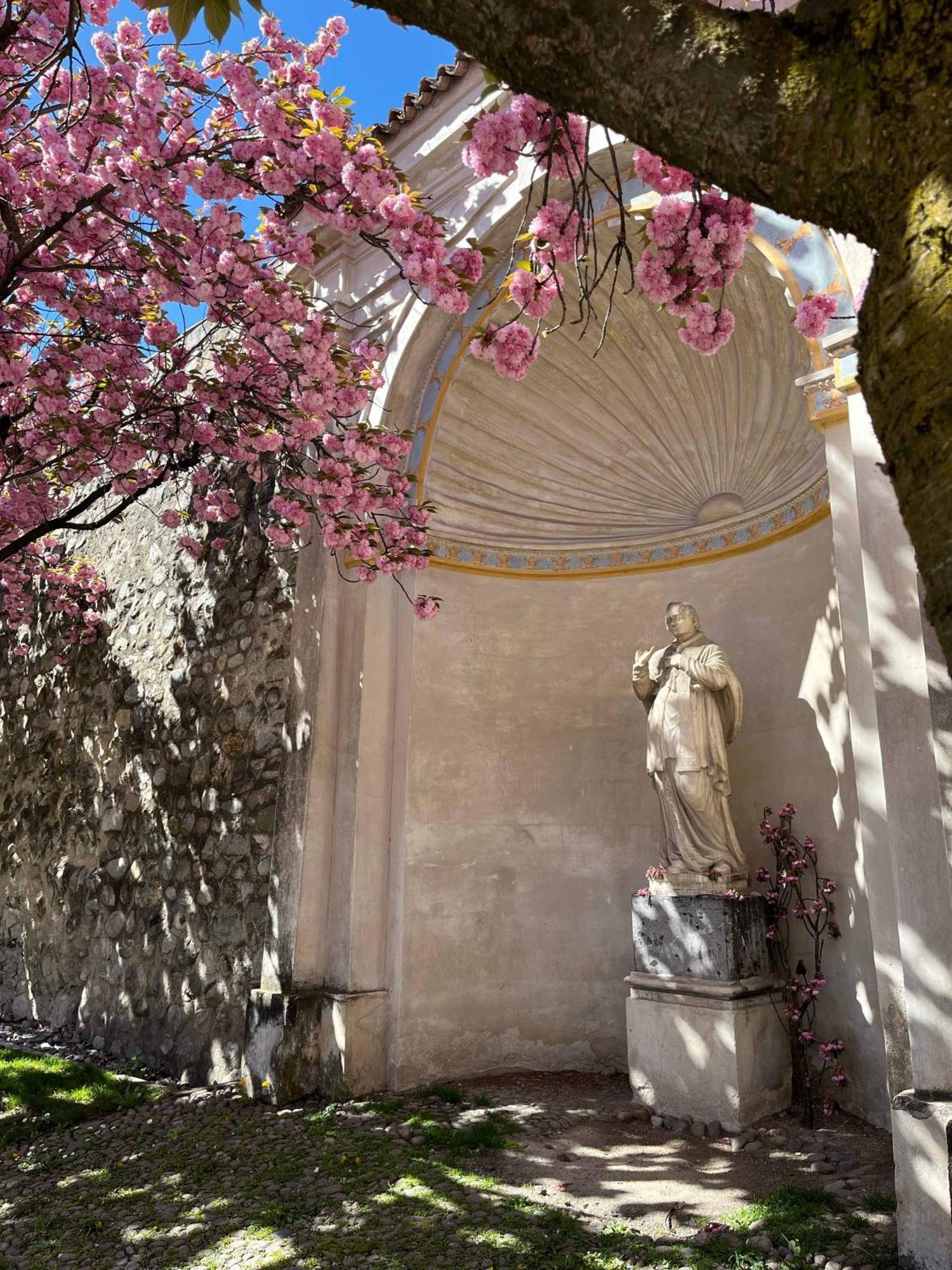 Garden Apartment Untermuehle Brixen Buitenkant foto