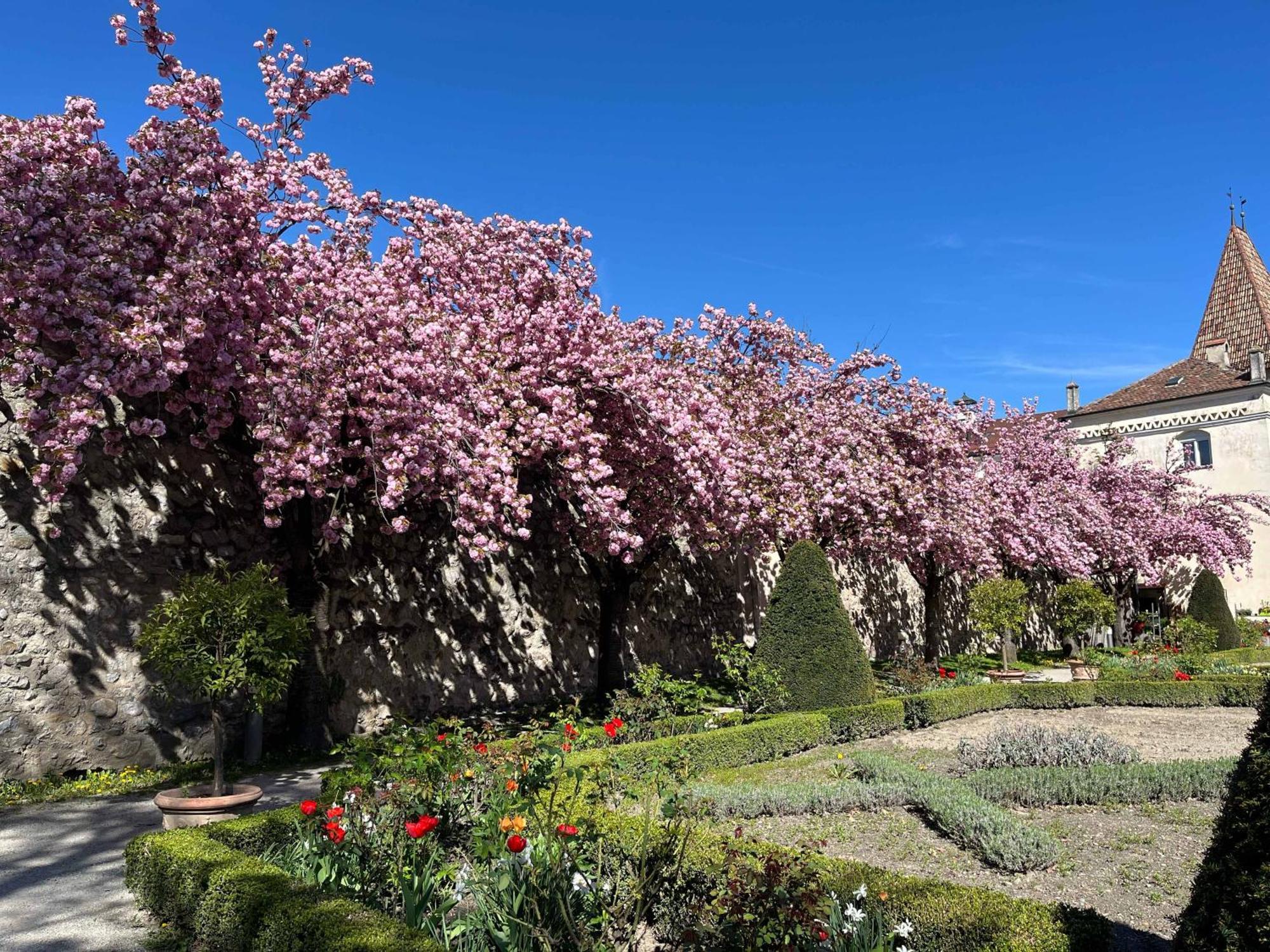 Garden Apartment Untermuehle Brixen Buitenkant foto